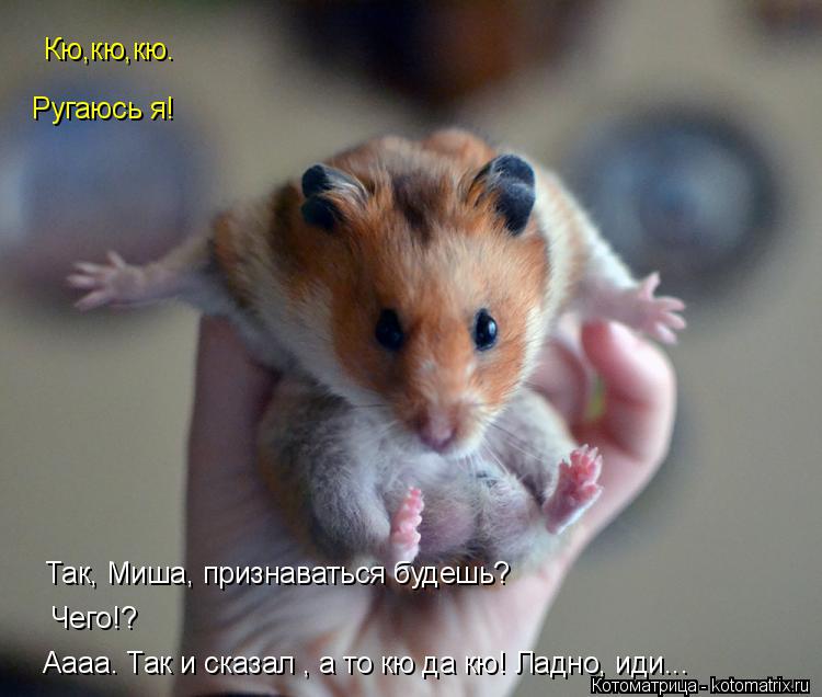 Кю,кю,кю. Ругаюсь я! Чего!? Так, Миша, признаваться будешь? Аааа. Так и сказал , а то кю да кю! Ладно... Котоматрица: Кю,кю,кю. Ругаюсь я! Чего!? Так, Миша, признаваться будешь? Аааа. Так и сказал , а то кю да кю! Ладно, иди...