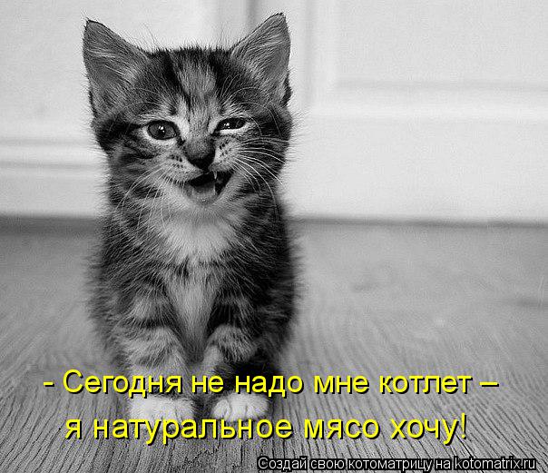 Котоматрица: - Сегодня не надо мне котлет – я натуральное мясо хочу!