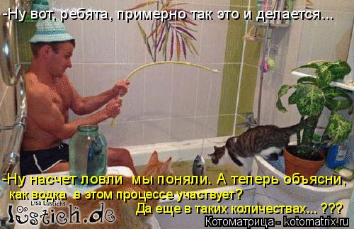 Котоматрица: -Ну вот, ребята, примерно так это и делается... -Ну насчет ловли  мы поняли. А теперь объясни,  как водка  в этом процессе участвует? Да еще в так