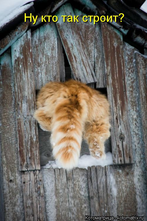 Котоматрица: Ну кто так строит?