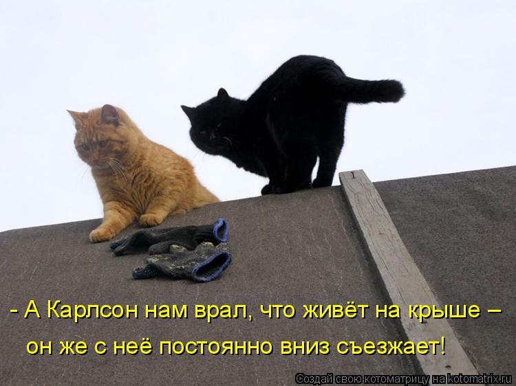 Котоматрица: он же с неё постоянно вниз съезжает! - А Карлсон нам врал, что живёт на крыше –