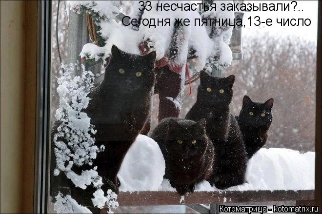 Котоматрица: 33 несчастья заказывали?.. Сегодня же пятница,13-е число