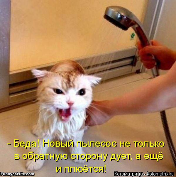 Котоматрица: - Беда! Новый пылесос не только  в обратную сторону дует, а ещё и плюётся!