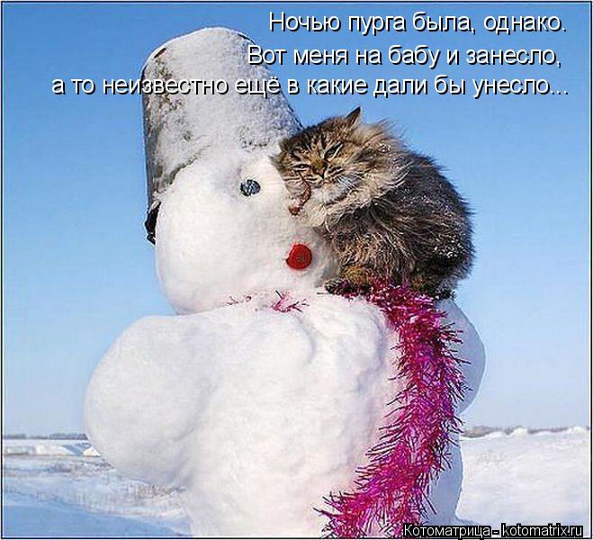 Котоматрица: Ночью пурга была, однако. Вот меня на бабу и занесло, а то неизвестно ещё в какие дали бы унесло...