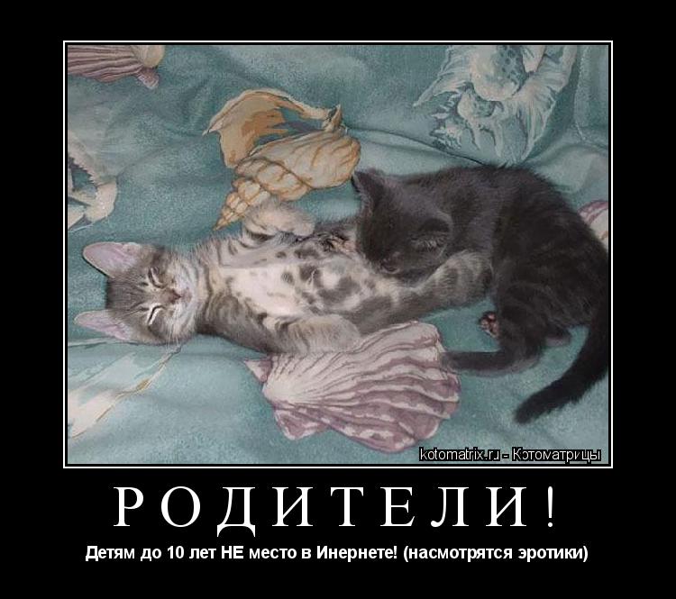 Котоматрица: РОДИТЕЛИ! Детям до 10 лет НЕ место в Инернете! (насмотрятся эротики)