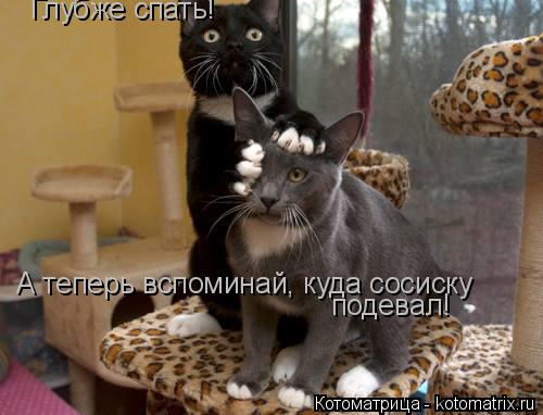 Котоматрица: Глубже спать! А теперь вспоминай, куда сосиску  подевал!