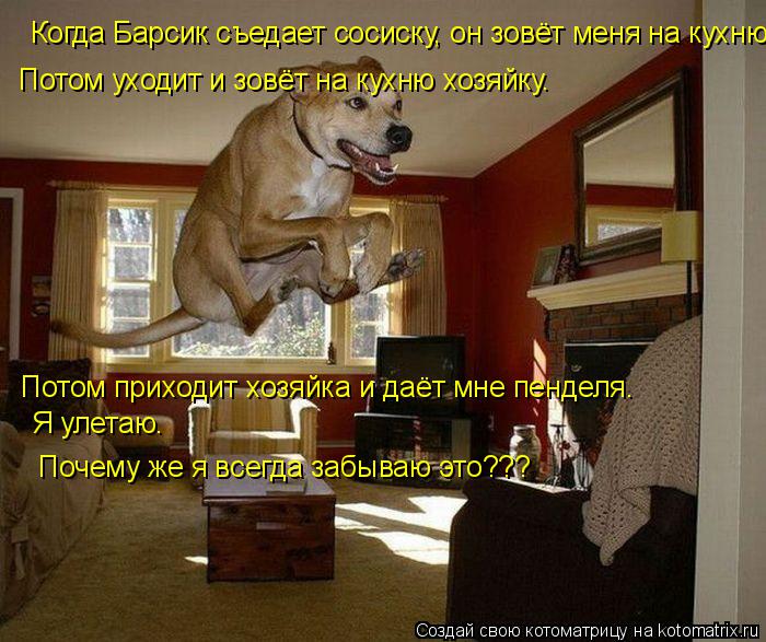 Котоматрица: Когда Барсик съедает сосиску, он зовёт меня на кухню. Потом уходит и зовёт на кухню хозяйку. Потом приходит хозяйка и даёт мне пенделя. Я уле