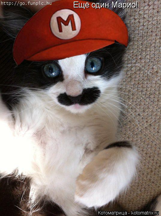 Котоматрица: Ещё один Марио!
