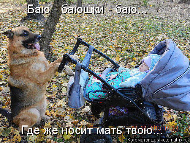 Котоматрица: Баю - баюшки - баю... Где же носит мать твою...