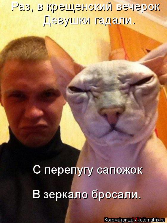 Котоматрица: Раз, в крещенский вечерок Девушки гадали. С перепугу сапожок В зеркало бросали.