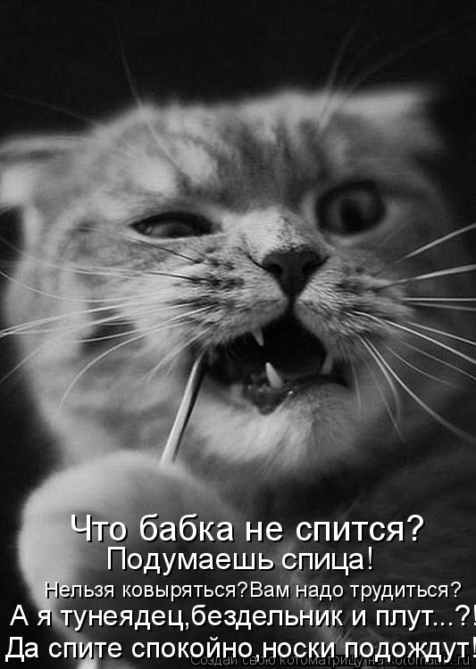 Котоматрица: Что бабка не спится? Подумаешь спица! Нельзя ковыряться?Вам надо трудиться? А я тунеядец,бездельник и плут...?! Да спите спокойно,носки подожд