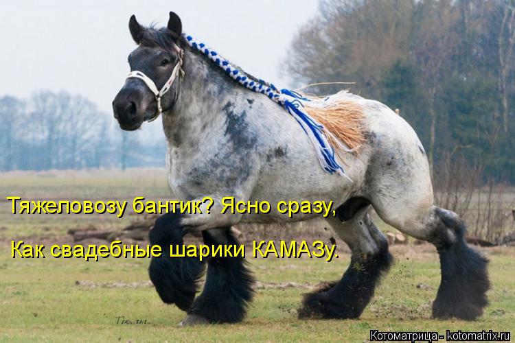 Котоматрица: Тяжеловозу бантик? Ясно сразу, Как свадебные шарики КАМАЗу.