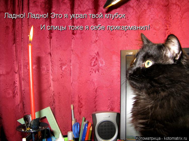 Котоматрица: Ладно! Ладно! Это я украл твой клубок И спицы тоже я себе прикарманил!