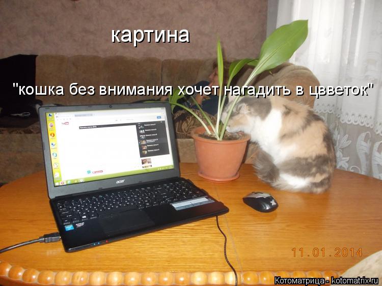 Котоматрица: картина "кошка без внимания хочет нагадить в цвветок"