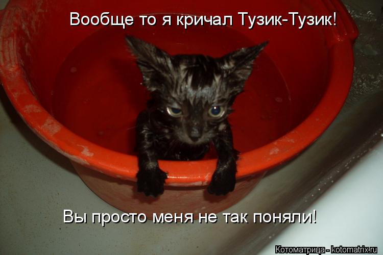Котоматрица: Вообще то я кричал Тузик-Тузик! Вы просто меня не так поняли!