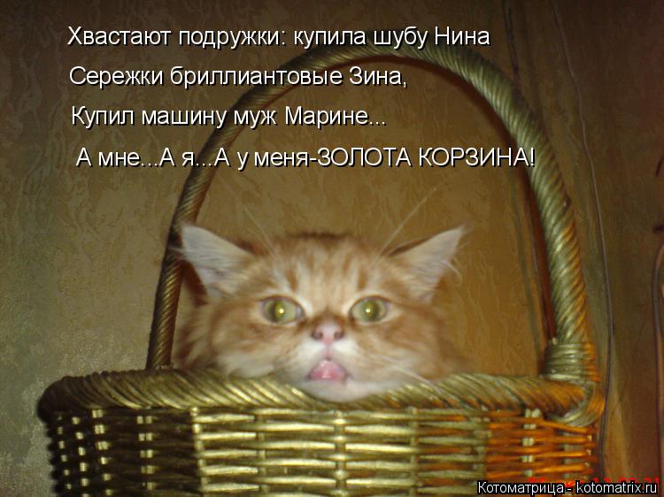 Котоматрица: Хвастают подружки: купила шубу Нина Сережки бриллиантовые Зина, Купил машину муж Марине... А мне...А я...А у меня-ЗОЛОТА КОРЗИНА!