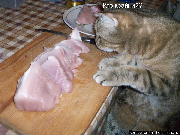 Котоматрица: Кто крайний?