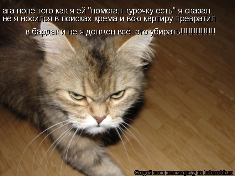 Котоматрица: ага поле того как я ей "помогал курочку есть" я сказал: не я носился в поисках крема и всю квртиру превратил  в бардак и не я должен всё  это уб