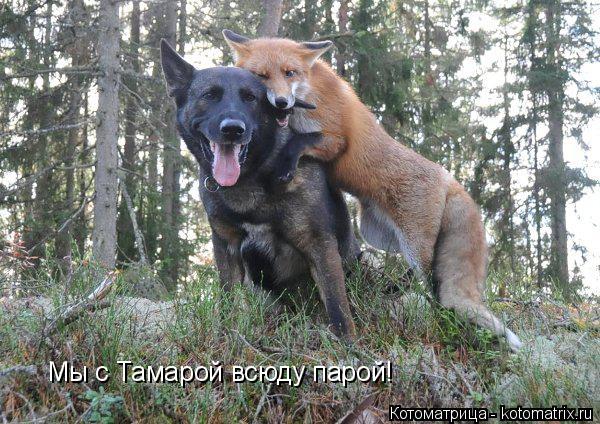 Мы с Тамарой всюду парой!... Котоматрица: Мы с Тамарой всюду парой!