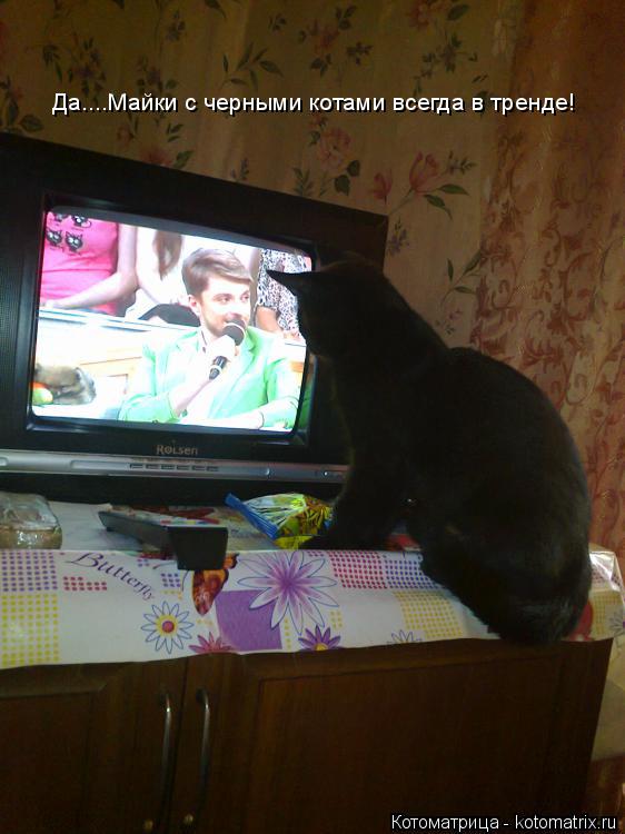 Котоматрица: Да....Майки с черными котами всегда в тренде!