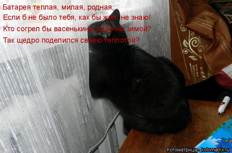 Котоматрица: Батарея теплая, милая, родная, Если б не было тебя, как бы жил, не знаю! Кто согрел бы васенькины лапочки зимой? Так щедро поделился своею тепл