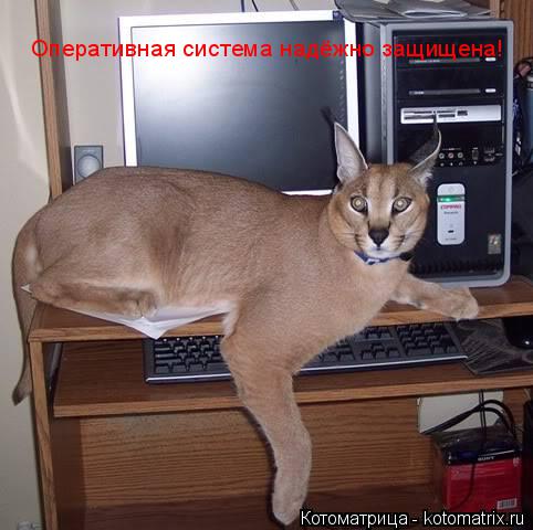 Оперативная система надёжно защищена!... Котоматрица: Оперативная система надёжно защищена!