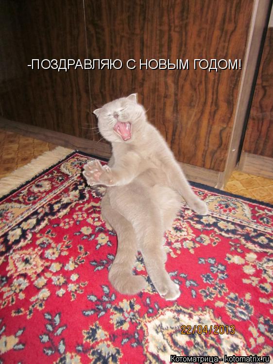 Котоматрица: -ПОЗДРАВЛЯЮ С НОВЫМ ГОДОМ!