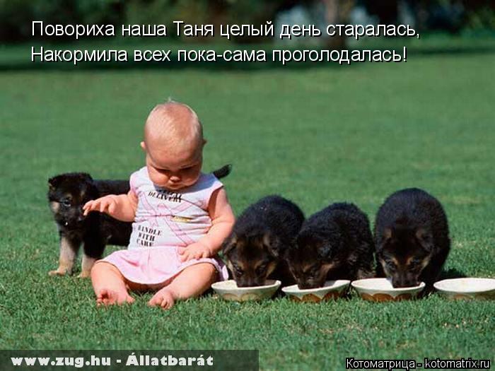 Котоматрица: Повориха наша Таня целый день старалась, Накормила всех пока-сама проголодалась!