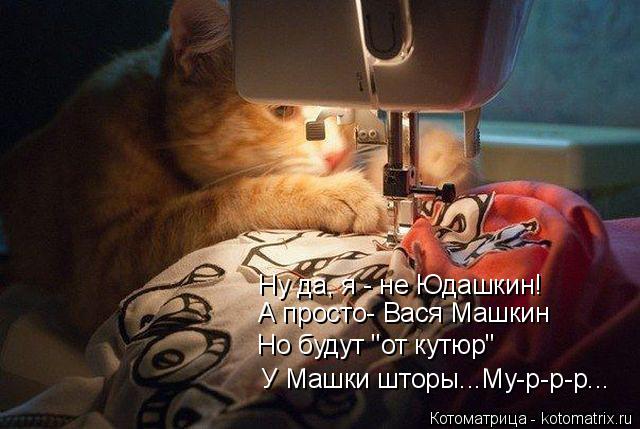 Котоматрица: А просто- Вася Машкин Ну да, я - не Юдашкин! Но будут "от кутюр"  У Машки шторы...Му-р-р-р...
