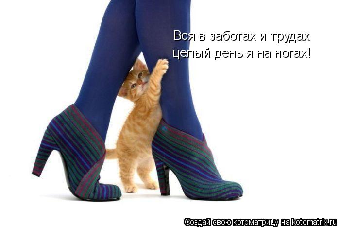 Котоматрица: Вся в заботах и трудах целый день я на ногах!