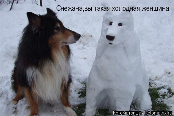 Котоматрица: Снежана,вы такая холодная женщина!