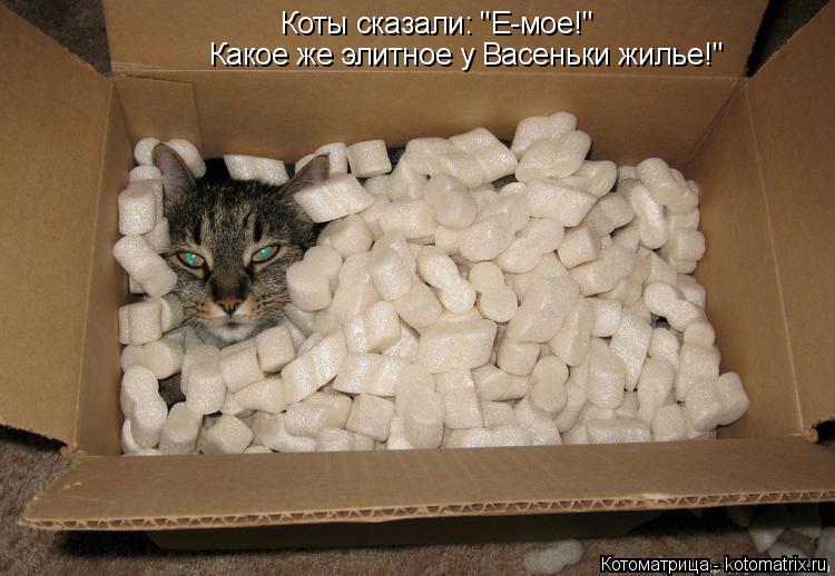 Котоматрица: Коты сказали: "Е-мое!" Какое же элитное у Васеньки жилье!"