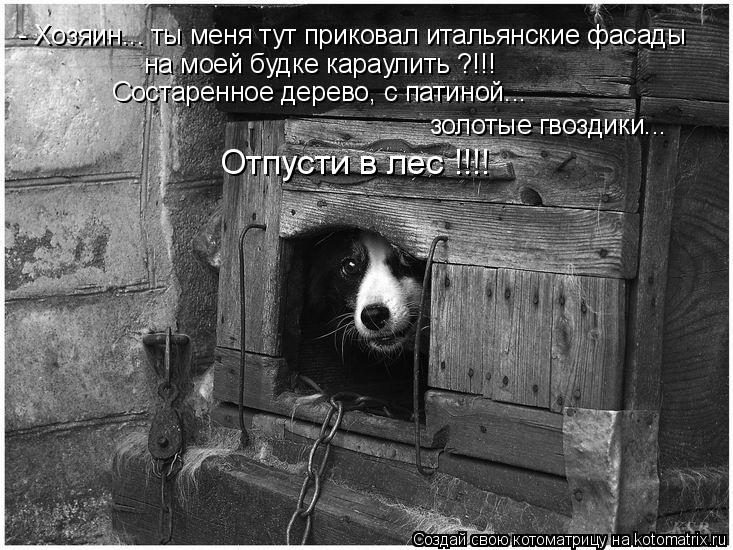 Котоматрица: - Хозяин... ты меня тут приковал итальянские фасады на моей будке караулить ?!!! Состаренное дерево, с патиной...  золотые гвоздики... Отпусти в л