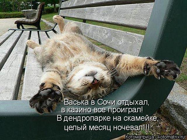 Котоматрица: целый месяц ночевал!!! Васька в Сочи отдыхал, в казино все проиграл! В дендропарке на скамейке,