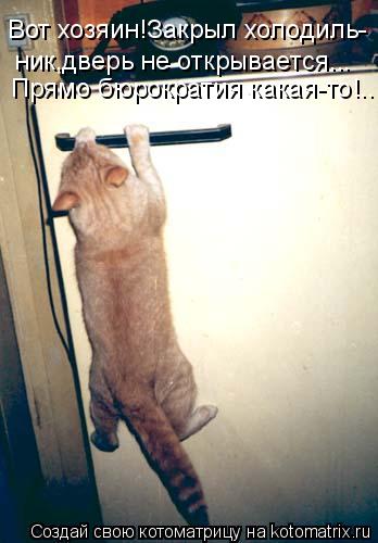 Котоматрица: Вот хозяин!Закрыл холодиль- ник,дверь не открывается... Прямо бюрократия какая-то!..