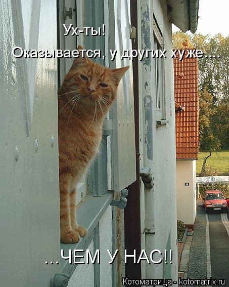 Котоматрица: Ух-ты! Оказывается, у других хуже.... ...ЧЕМ У НАС!!