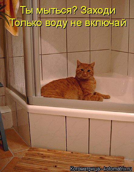 Котоматрица: Ты мыться? Заходи Только воду не включай