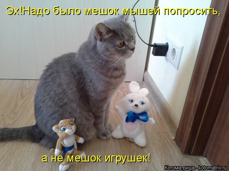 Котоматрица: Эх!Надо было мешок мышей попросить, а не мешок игрушек!