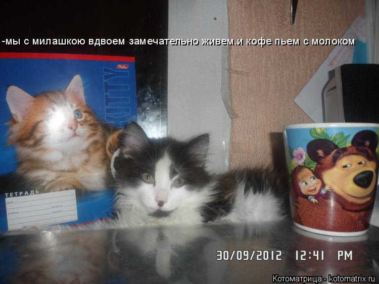 Котоматрица: -мы с милашкою вдвоем замечательно живем.и кофе пьем с молоком