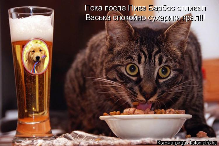 Котоматрица: Пока после Пива Барбос отливал Васька спокойно сухарики крал!!!