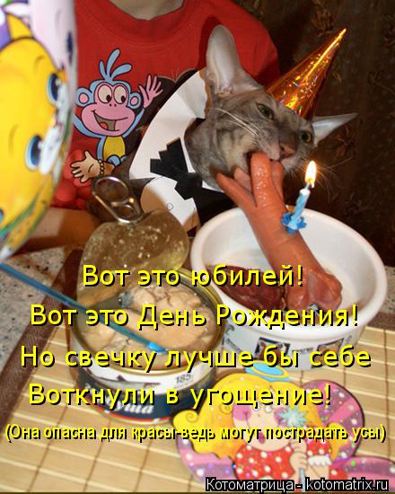 Котоматрица: Вот это юбилей! Вот это День Рождения! Но свечку лучше бы себе  Воткнули в угощение! (Она опасна для красы-ведь могут пострадать усы)