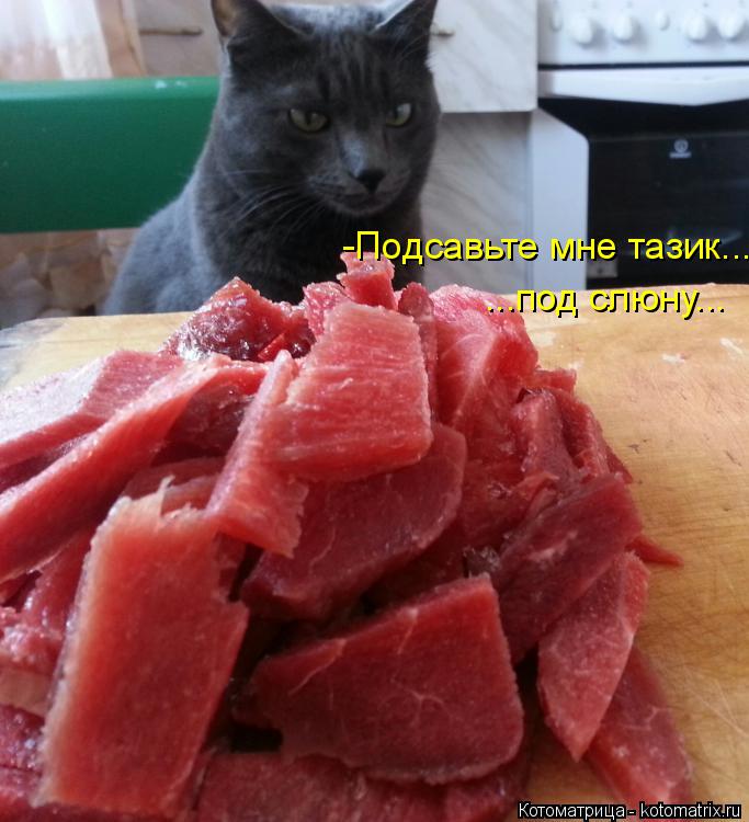 ...под слюну... -Подсавьте мне тазик...... Котоматрица: ...под слюну... -Подсавьте мне тазик...