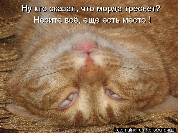 Котоматрица: Ну кто сказал, что морда треснет? Несите всё, еще есть место !