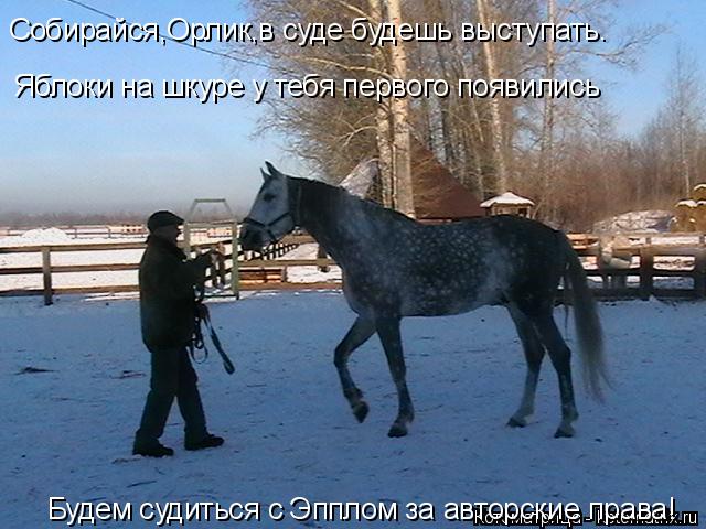 Собирайся,Орлик,в суде будешь выступать. Яблоки на шкуре у тебя первого появились Будем судиться с Эп... Котоматрица: Собирайся,Орлик,в суде будешь выступать. Яблоки на шкуре у тебя первого появились Будем судиться с Эпплом за авторские права! Будем судитьс