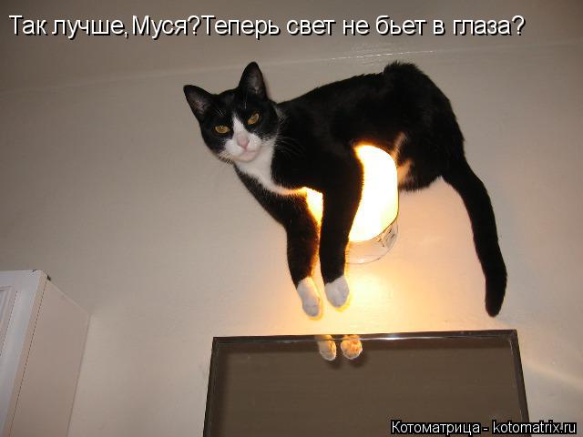 Котоматрица: Так лучше,Муся?Теперь свет не бьет в глаза?