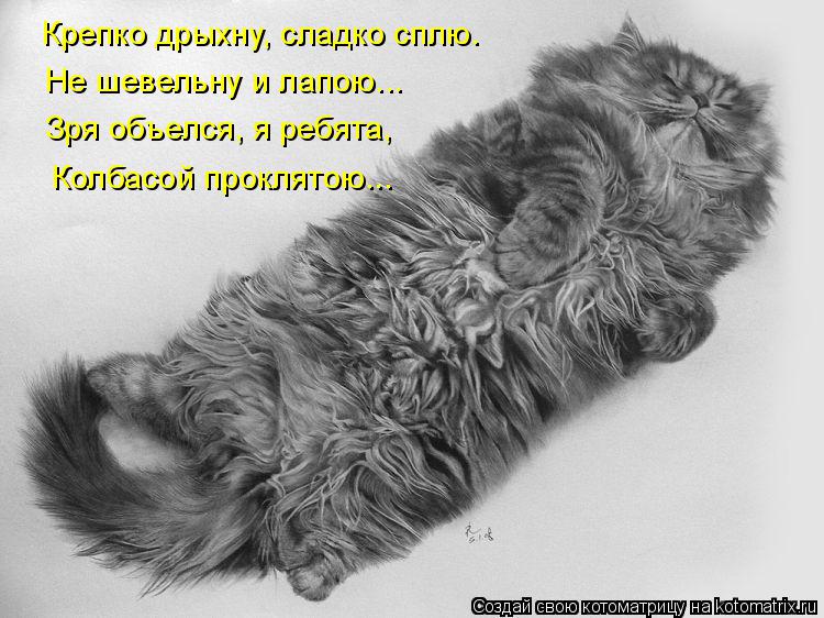 Котоматрица: Крепко дрыхну, сладко сплю. Не шевельну и лапою... Зря объелся, я ребята, Колбасой проклятою...