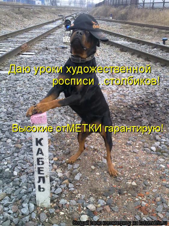 Котоматрица: Даю уроки художественной росписи ..столбиков! Высокие отМЕТКИ гарантирую!