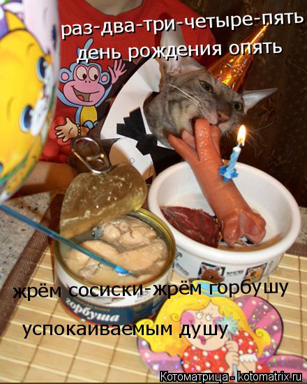 раз-два-три-четыре-пять день рождения опять жрём сосиски-жрём горбушу успокаиваемым душу... Котоматрица: раз-два-три-четыре-пять день рождения опять жрём сосиски-жрём горбушу успокаиваемым душу