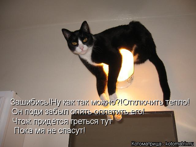 Котоматрица: Зашибись!Ну как так можно?!Отключить тепло! Он поди забыл опять оплатить его! Чтож придётся греться тут Пока мя не спасут!