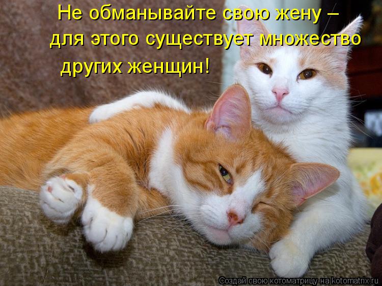 Котоматрица: Не обманывайте свою жену –  для этого существует множество  других женщин!